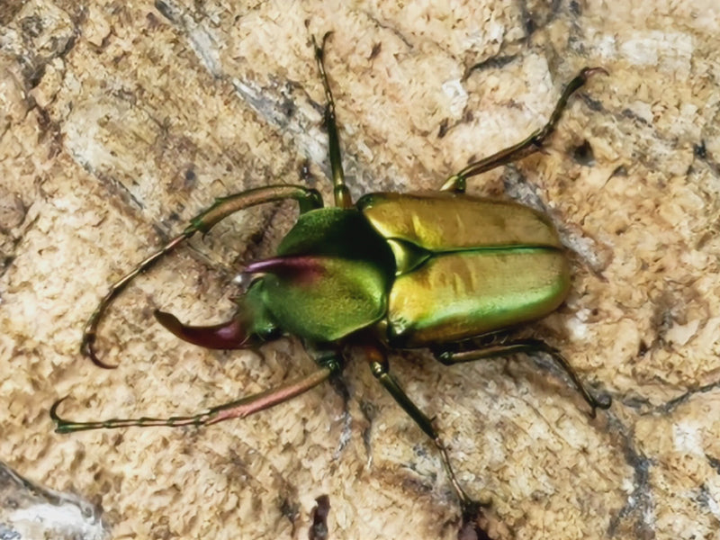 2023.5.26.新入荷!!