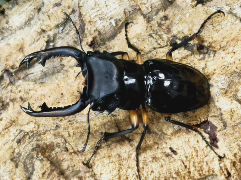 2023.5.27.新入荷!!