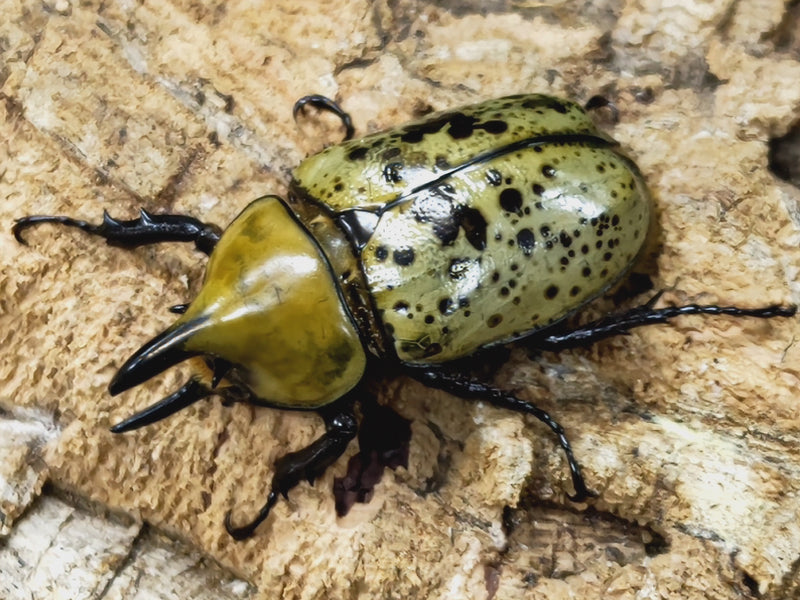 2023.5.30.新入荷!!