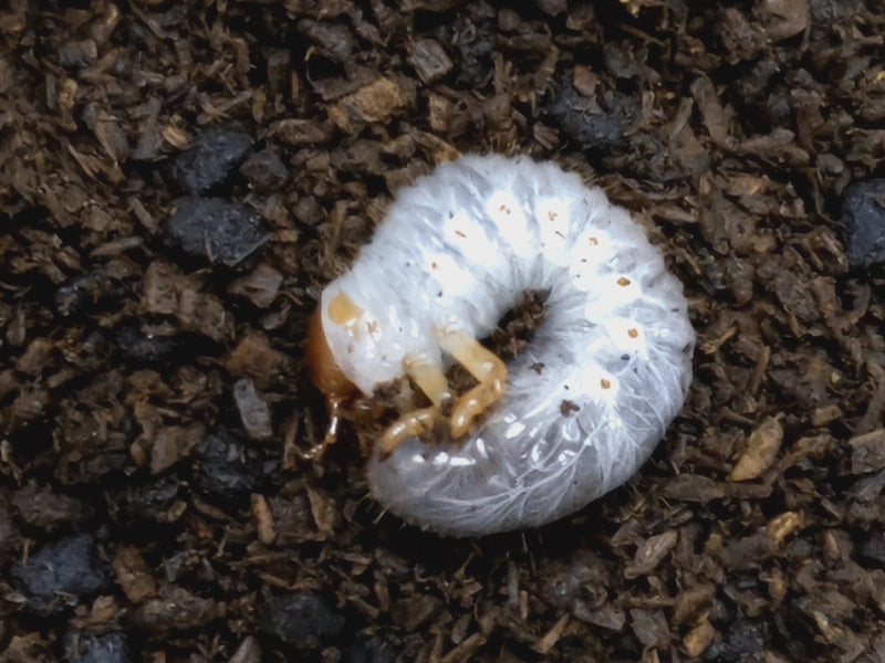 2023.6.3.新入荷!!