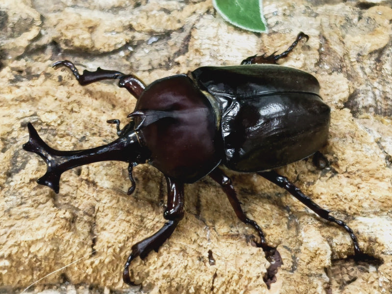 2023.6.10.新入荷!!