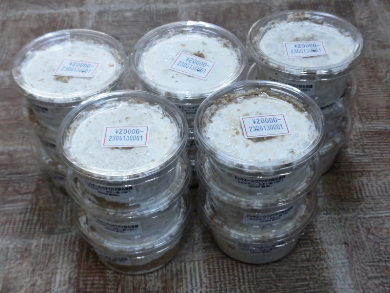 2023.6.13.新入荷!!