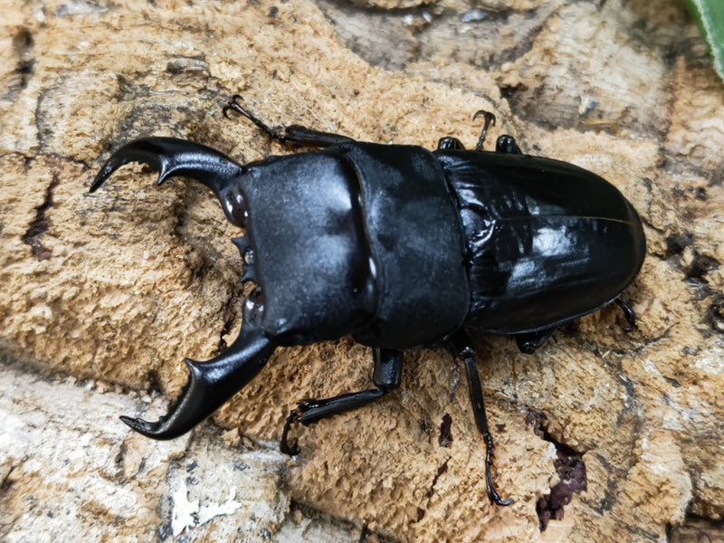 2023.6.18.新入荷!!