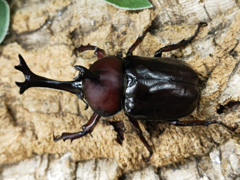 2023.6.19.新入荷!!