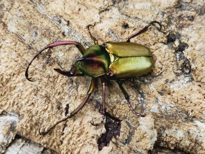 2023.6.22.新入荷!!