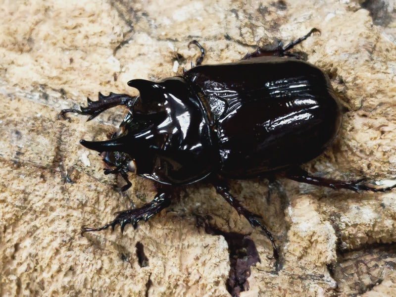 2023.6.25.新入荷!!