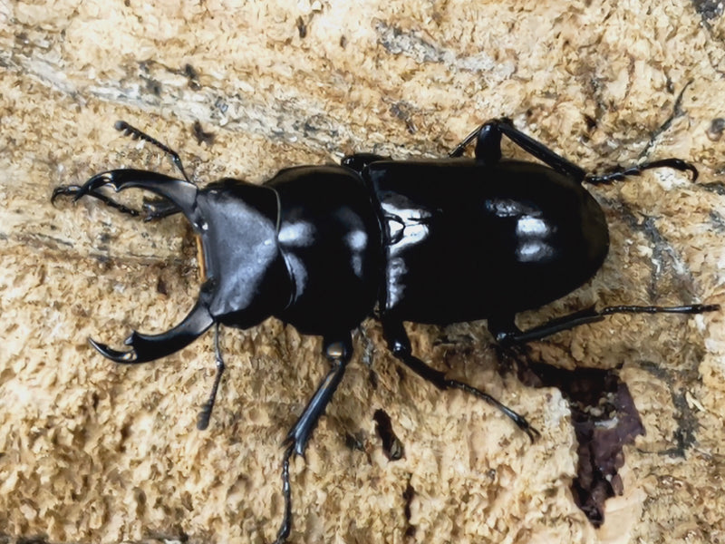 2023.6.27.新入荷!!