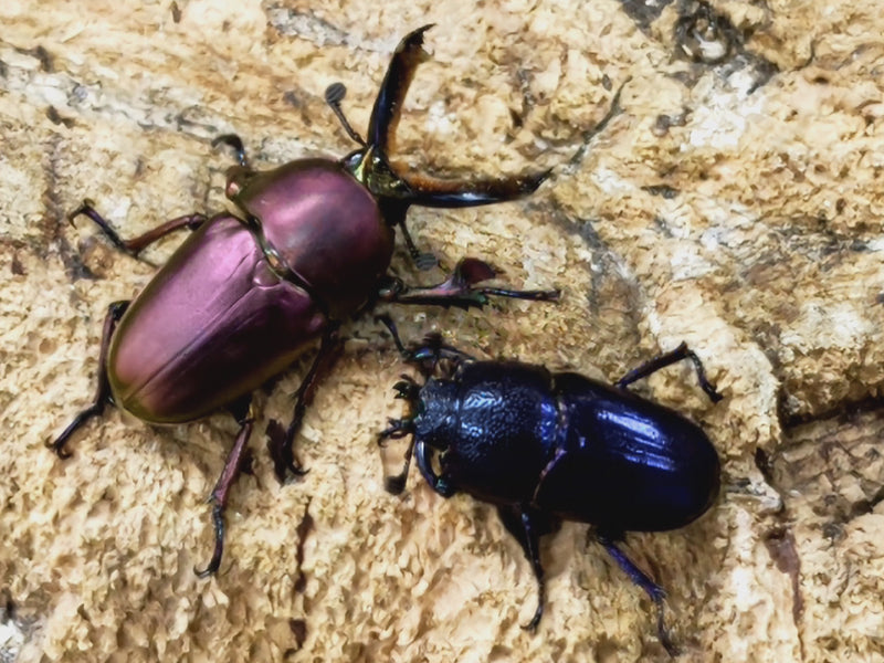 2023.6.30.新入荷!!