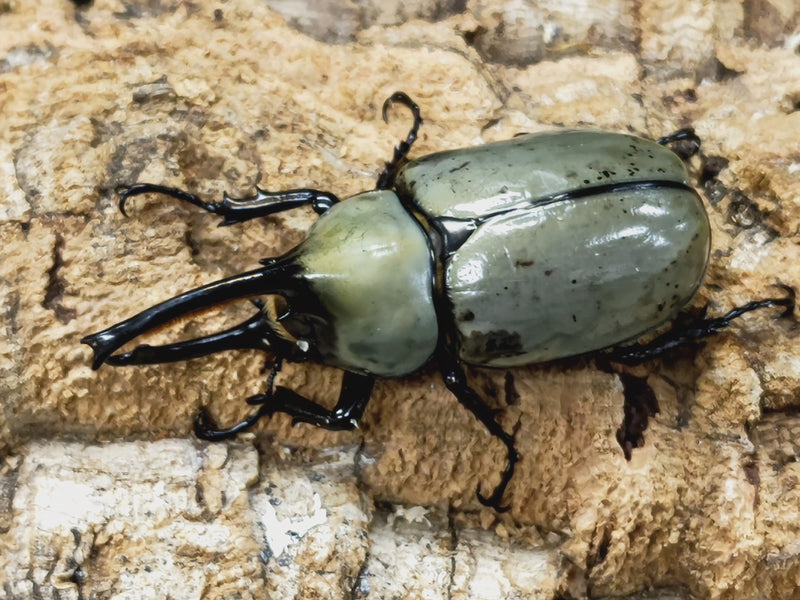 2023.7.2.新入荷!!