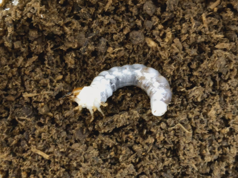 2023.7.3.新入荷!!