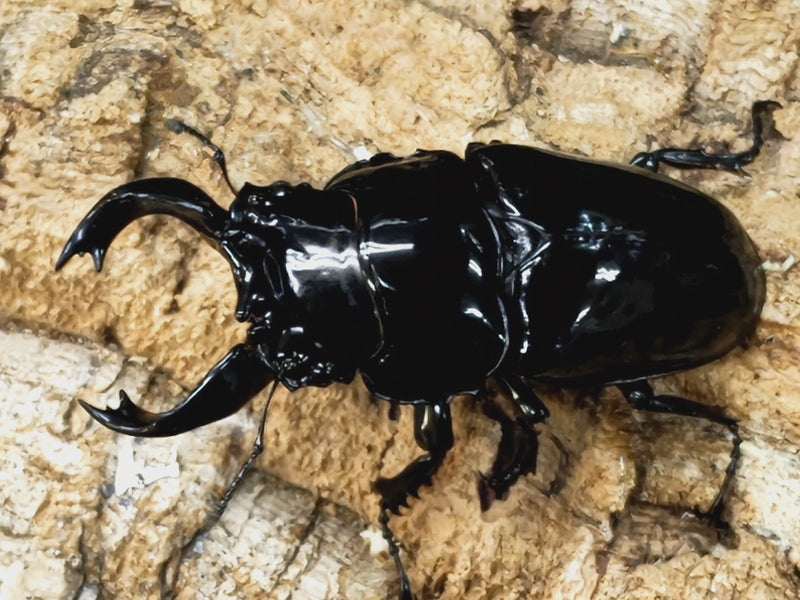 2023.7.6.新入荷!!