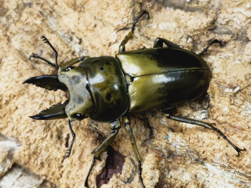 2023.7.7.新入荷!!