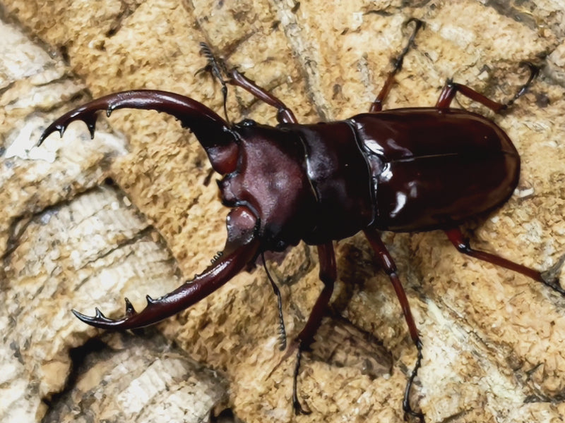 2023.7.9.新入荷!!