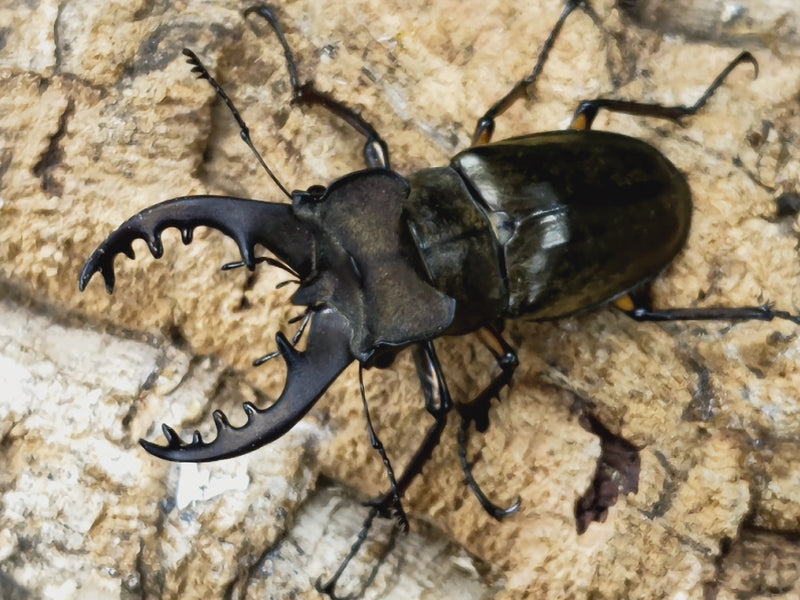 2023.7.11.新入荷!!