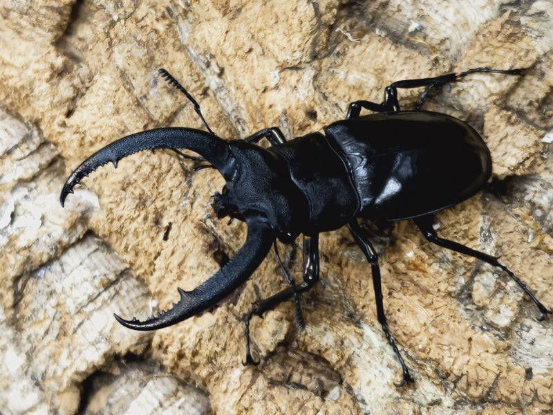 2023.7.13.新入荷!!