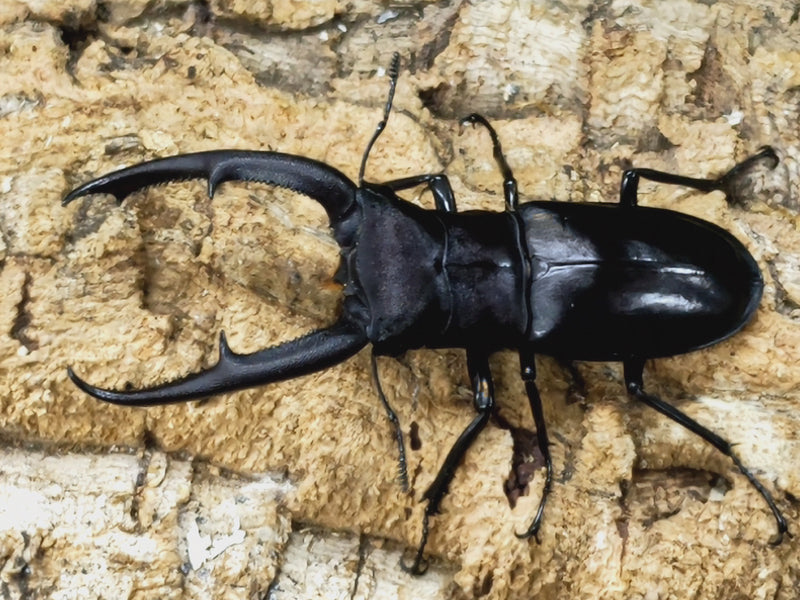 2023.7.16.新入荷!!