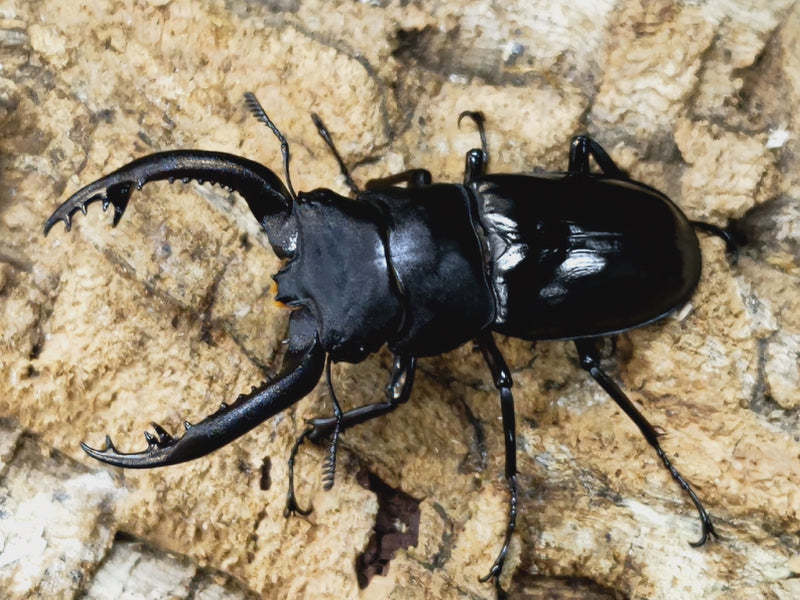 2023.7.17.新入荷!!