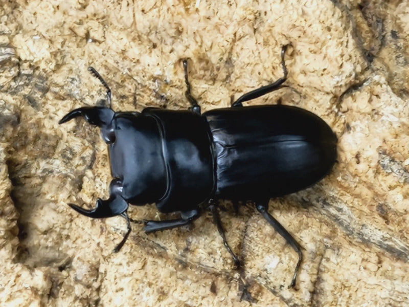 2023.7.20.新入荷!!