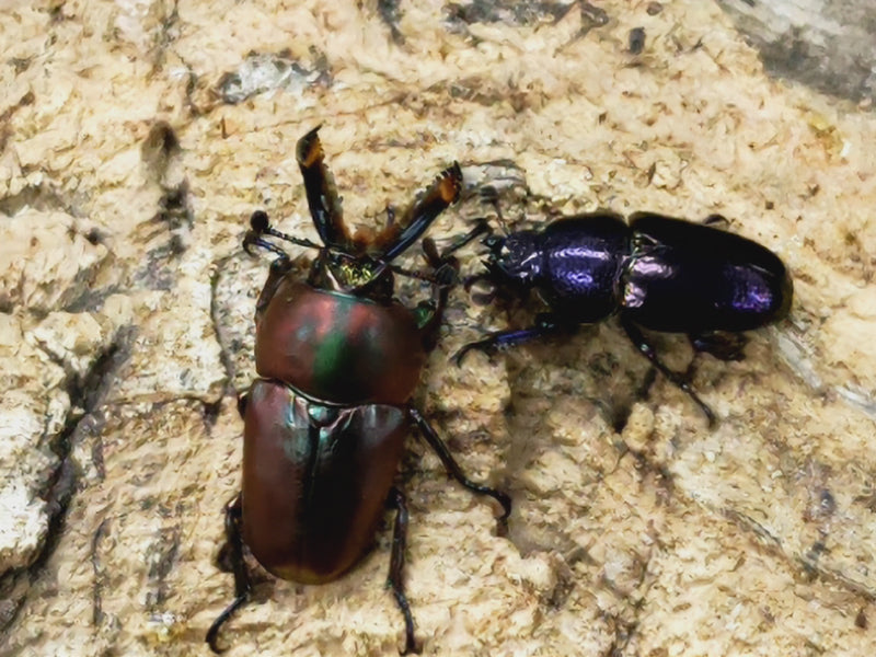 2023.7.21.新入荷!!