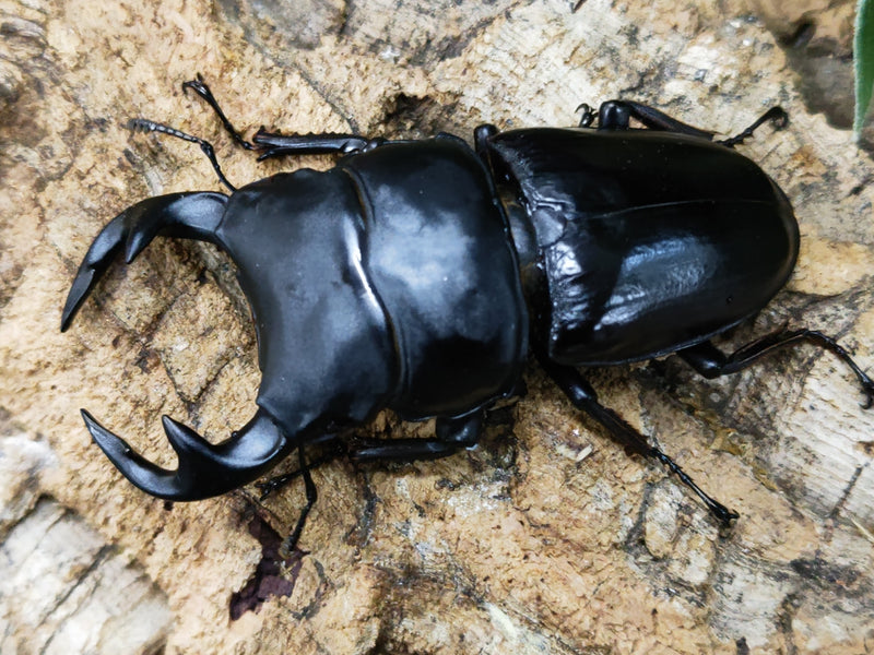 2023.7.25.新入荷!!