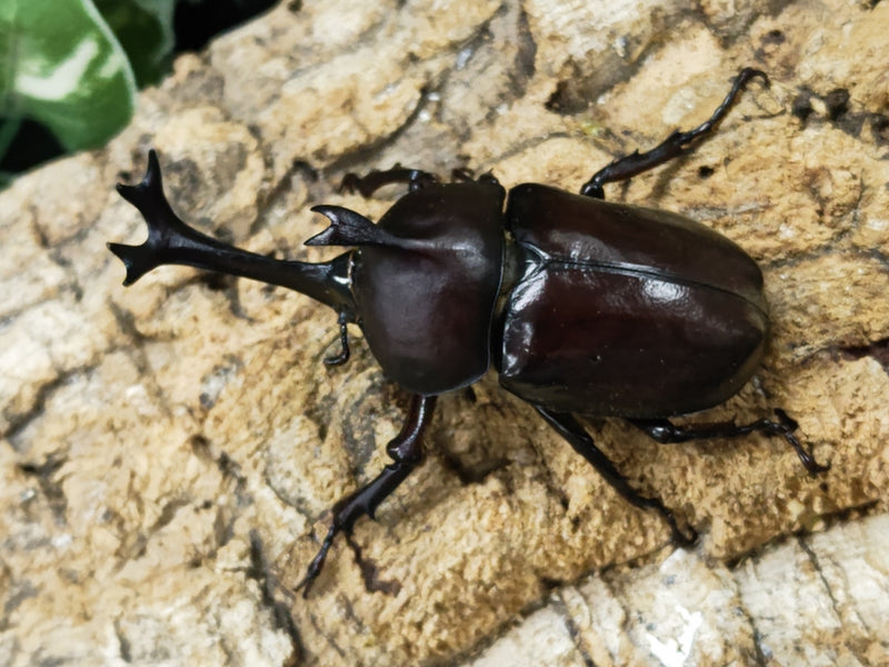 2023.7.28.新入荷!!