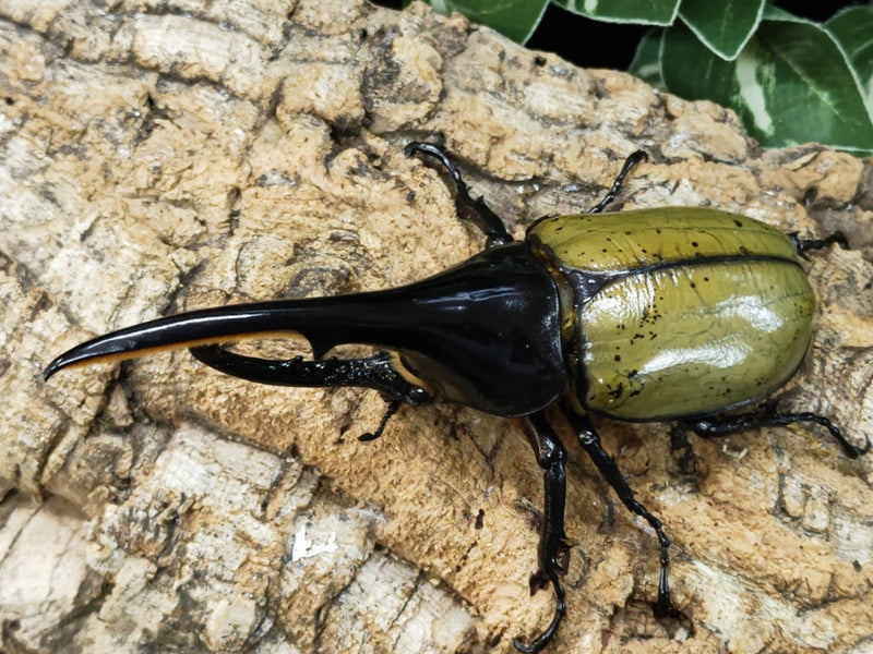 2023.7.29.新入荷!!