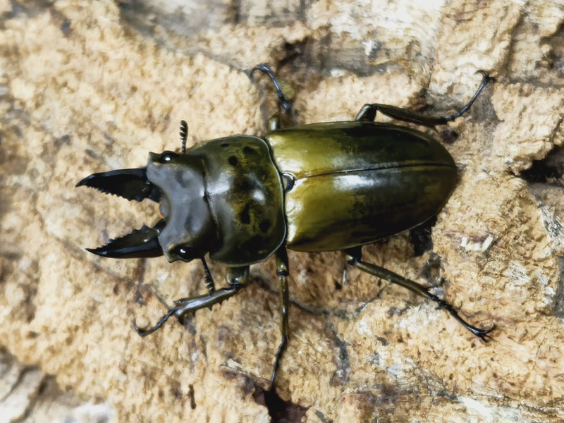 2023.7.30.新入荷!!