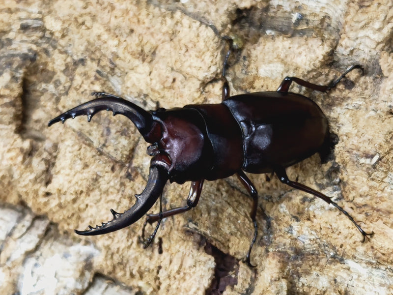 2023.7.31.新入荷!!