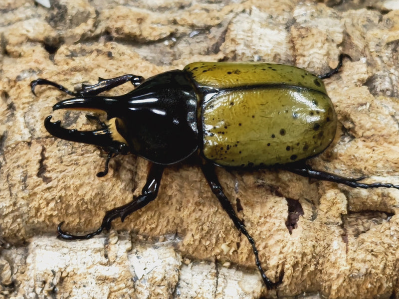 2023.8.5.新入荷!!