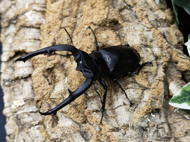 2023.8.7.新入荷!!