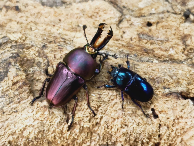 2023.8.10.新入荷!!