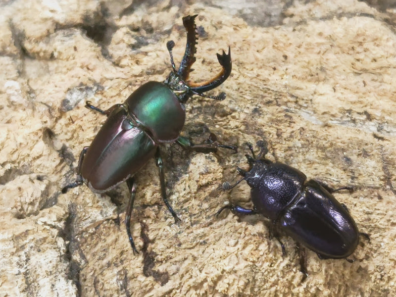 2023.8.17.新入荷!!