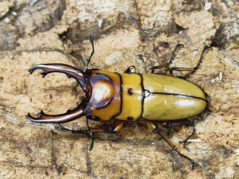 2023.8.19.新入荷!!