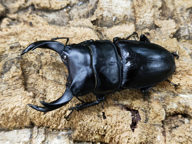 2023.8.20.新入荷!!