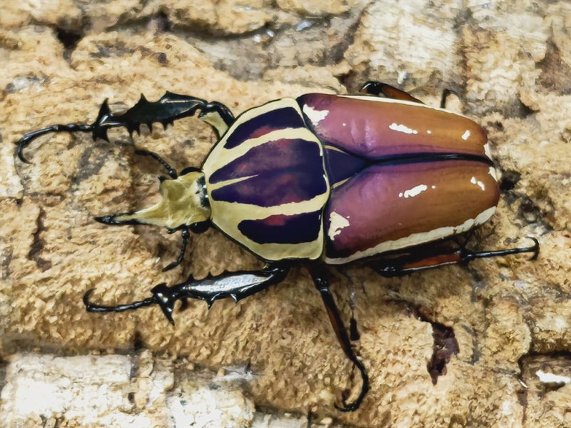 2023.8.22.新入荷!!