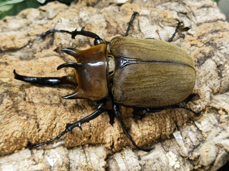 2023.8.24.新入荷!!