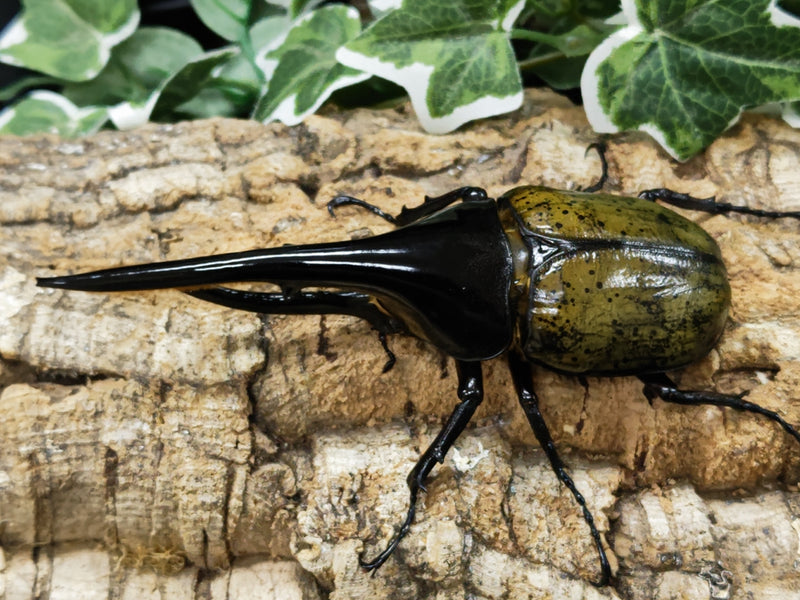 2023.8.27.新入荷!!