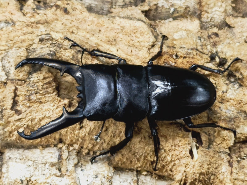 2023.8.29.新入荷!!