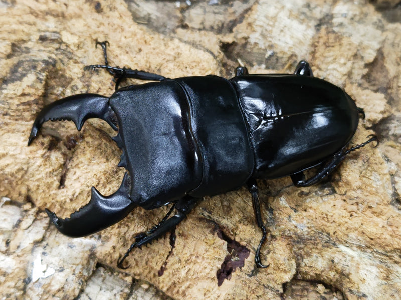 2023.9.2.新入荷!!