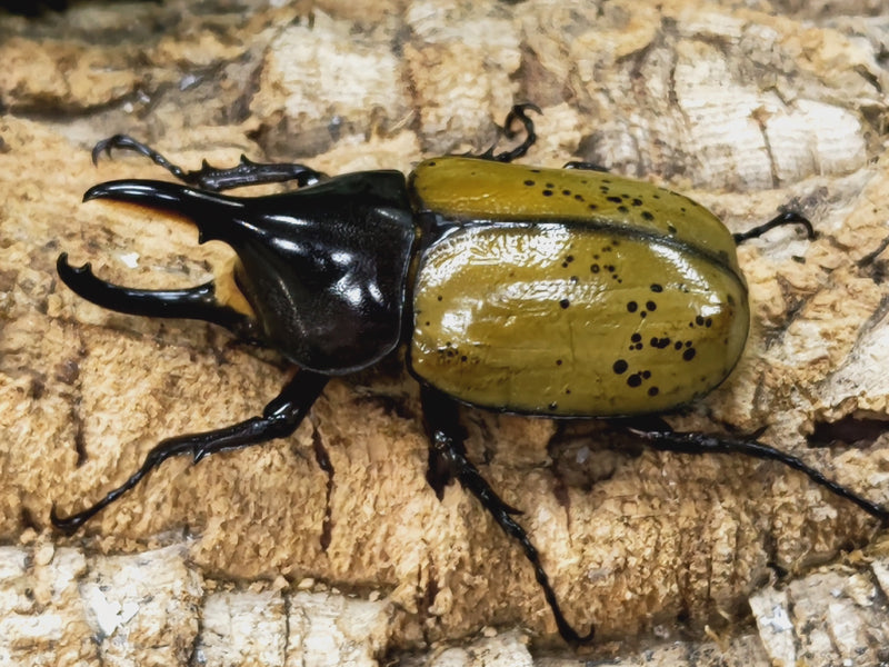 2023.9.3.新入荷!!