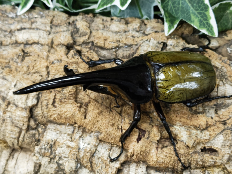 2023.9.4.新入荷!!