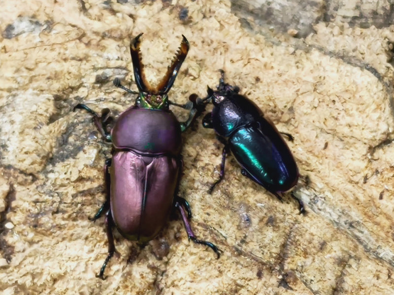 2023.9.5.新入荷!!