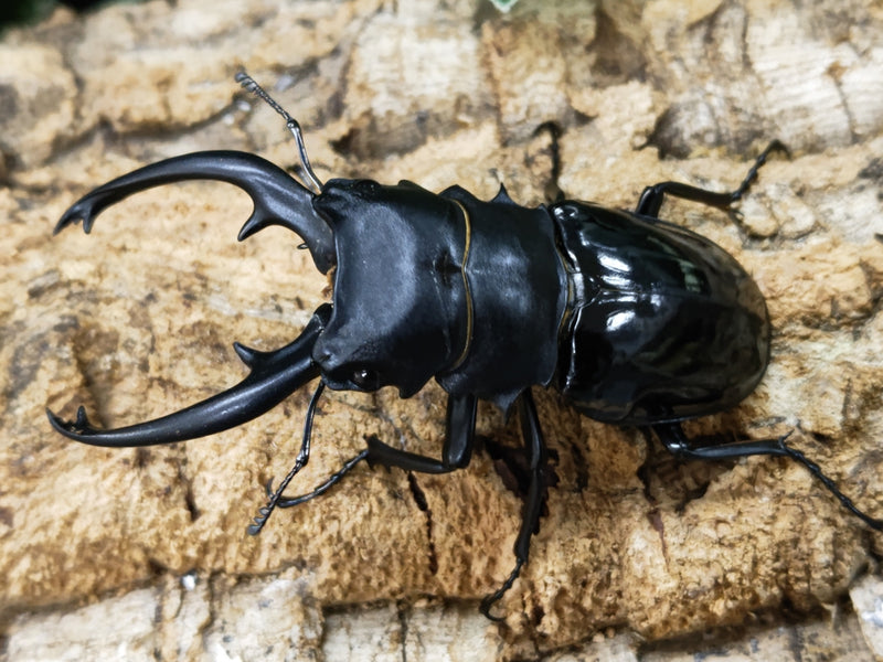 2023.9.22.新入荷!!