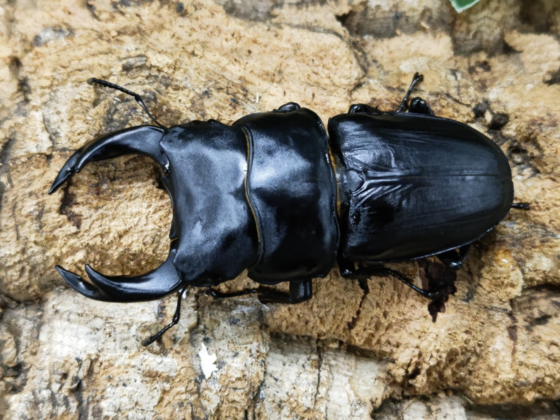 2023.9.23.新入荷!!