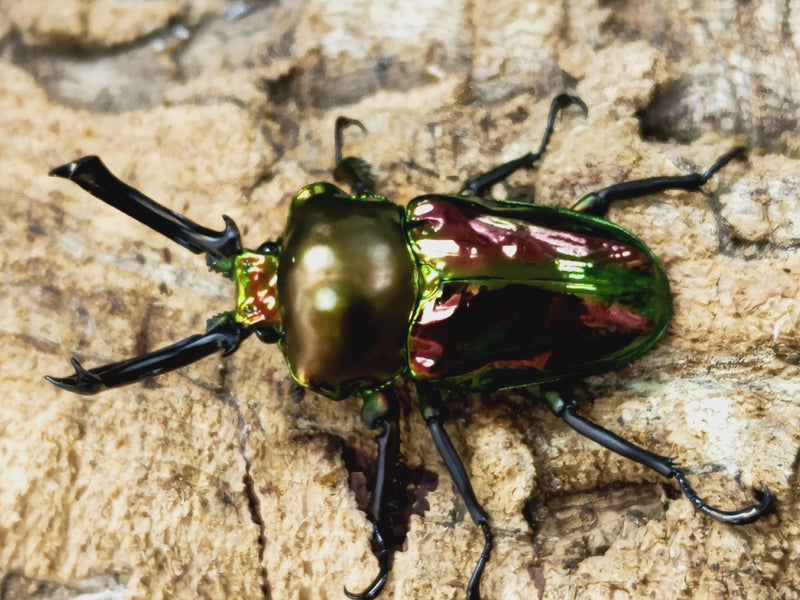 2023.9.25.新入荷!!