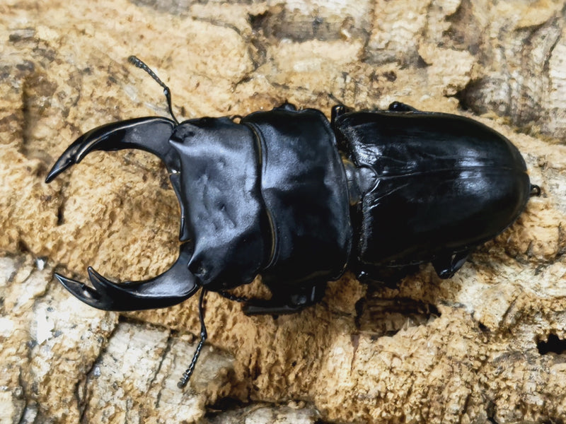 2023.9.26.新入荷!!