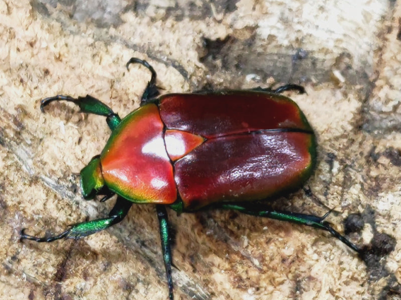 2023.10.1.新入荷!!