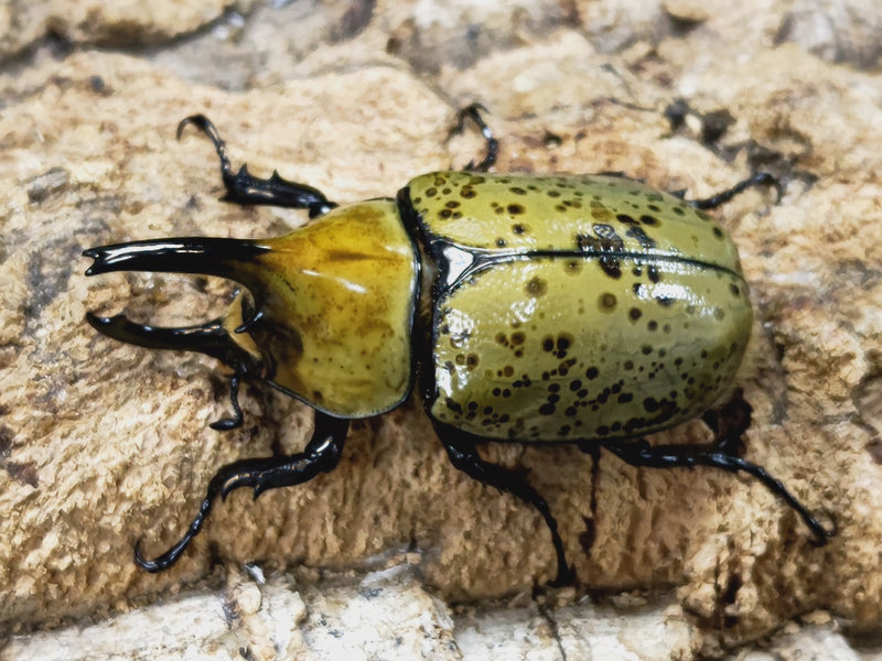 2023.10.7.新入荷!!