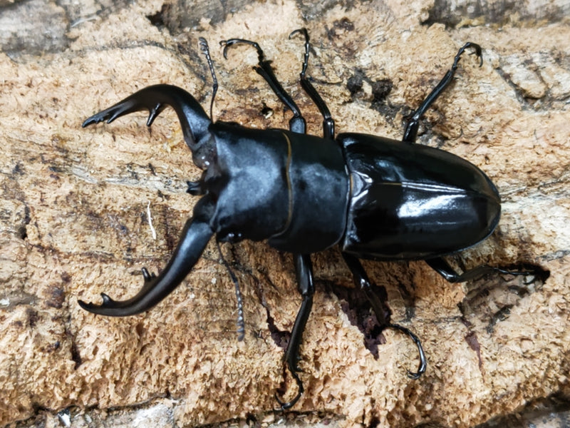 2023.10.8.新入荷!!