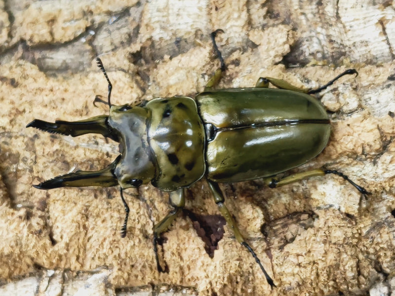 2023.10.9.新入荷!!